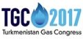 VIII международный газовый конгресс
